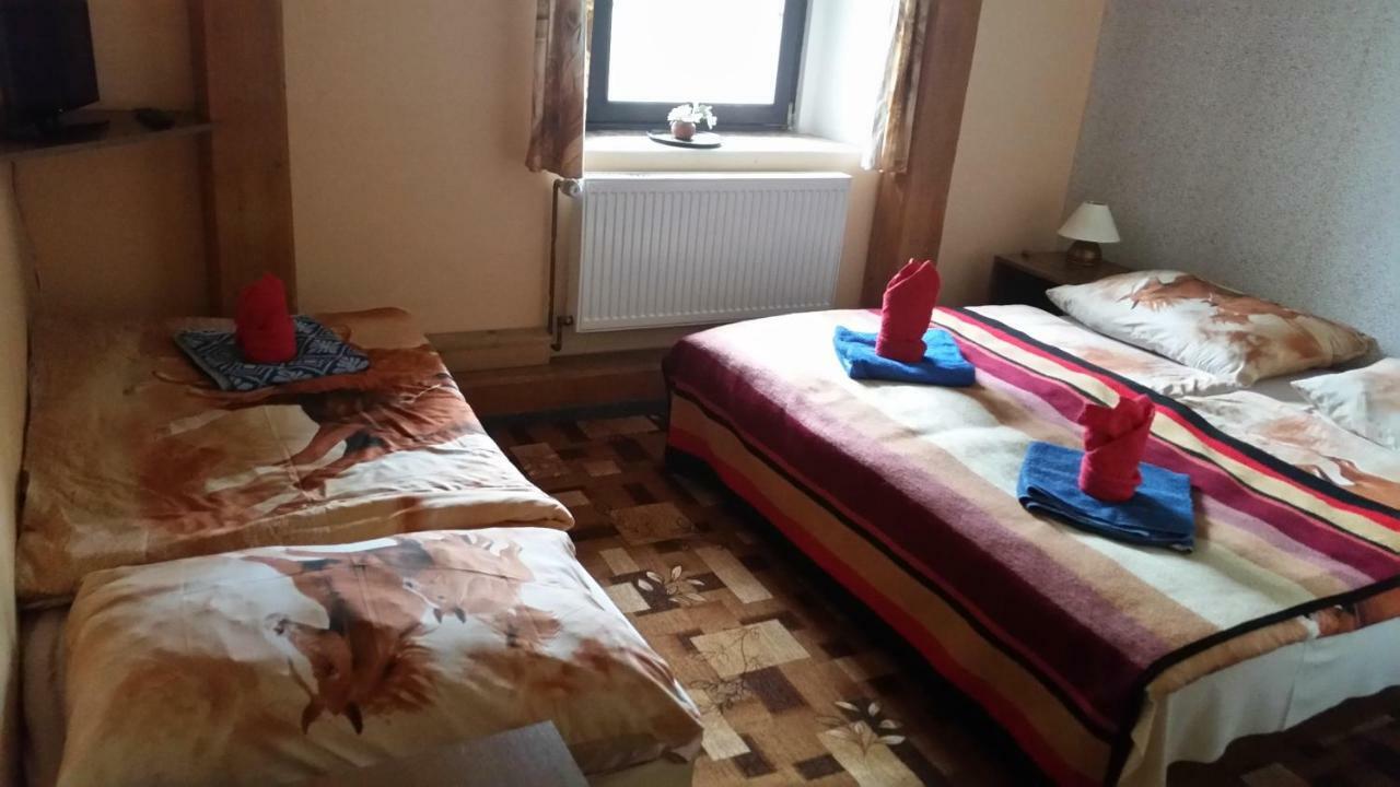 Penzion Pegas Depoltovice Nová Role Εξωτερικό φωτογραφία